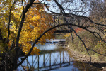 Anderson Creek from River St Bridge