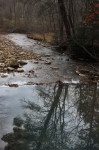Frist Bridge Downstream View